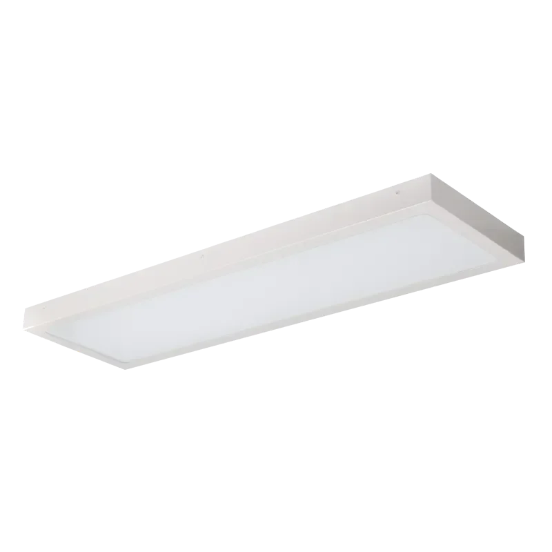 Pelsan Pelsan Dekoled G3L 36W 4000K 30×120 Sıva Üstü Lensli Modül Backlight Armatür 113