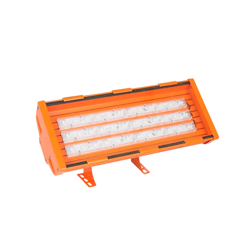 Pelsan Pelsan Trada 24Vdc/ac 38W 6500K IP67 Endüstriyel LED Projektör 209184